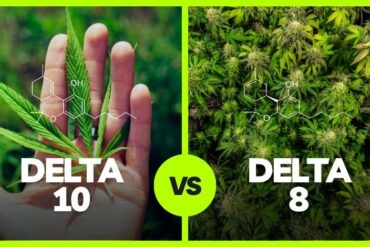 Delta 10 vs Delta 8 What’s the Difference