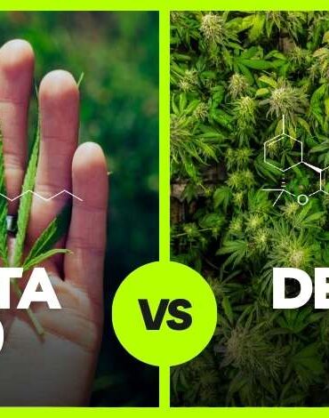 Delta 10 vs Delta 8 What’s the Difference