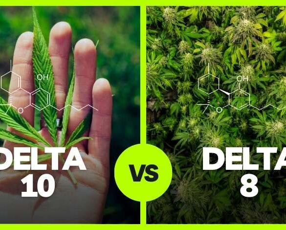 Delta 10 vs Delta 8 What’s the Difference