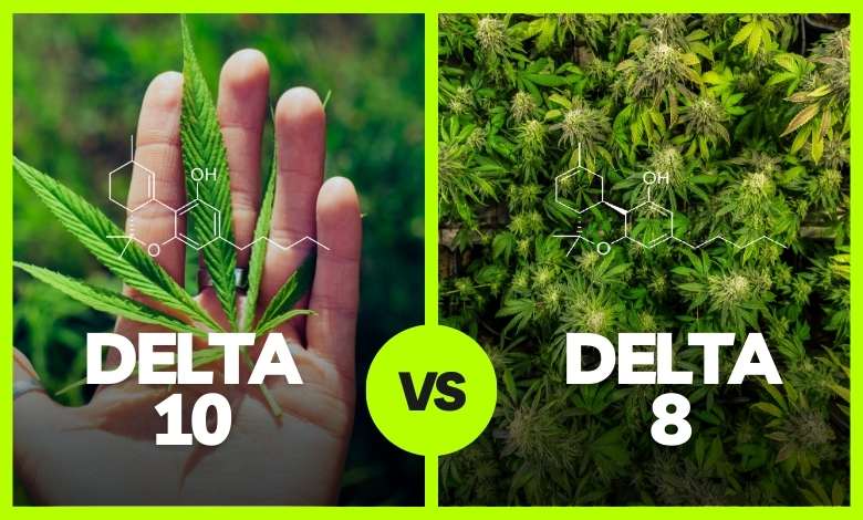 Delta 10 vs Delta 8 What’s the Difference