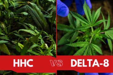 HHC Vs Delta 8 What's The Difference