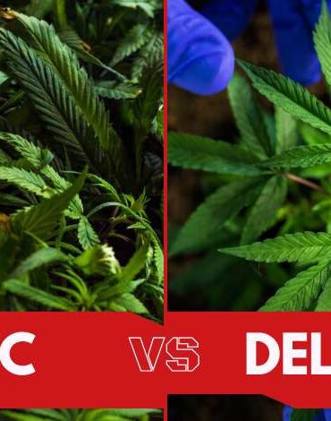 HHC Vs Delta 8 What's The Difference