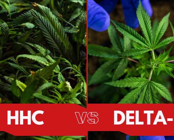 HHC Vs Delta 8 What's The Difference