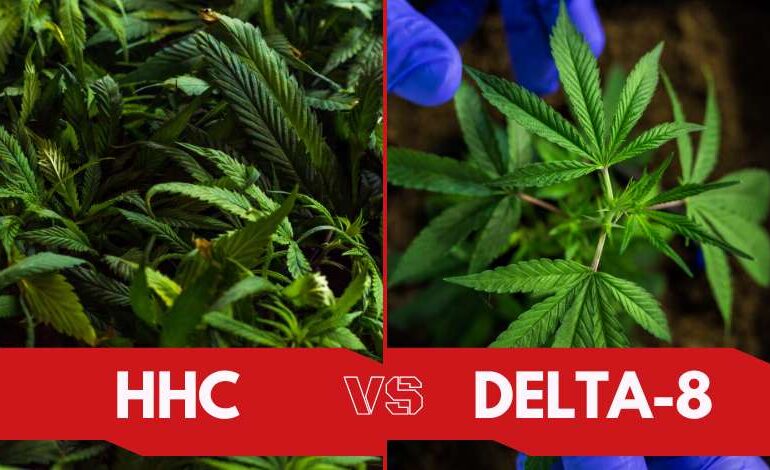 HHC Vs Delta 8 What's The Difference