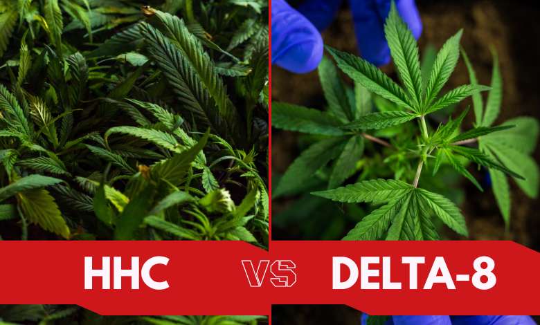 HHC Vs Delta 8 What's The Difference