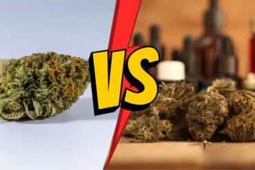 The Differences Between Delta 8 Indica and Sativa Strains