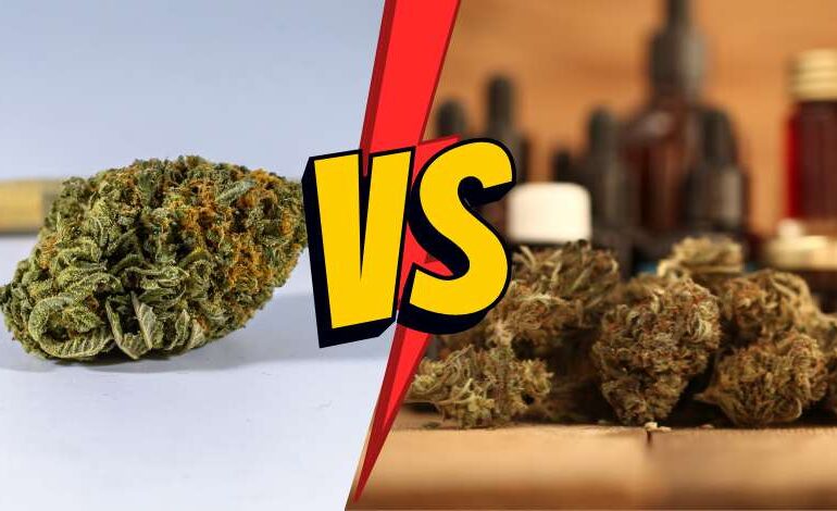 The Differences Between Delta 8 Indica and Sativa Strains