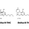 What-Is-The-Difference Between Delta-8 THC and Delta-9 THC