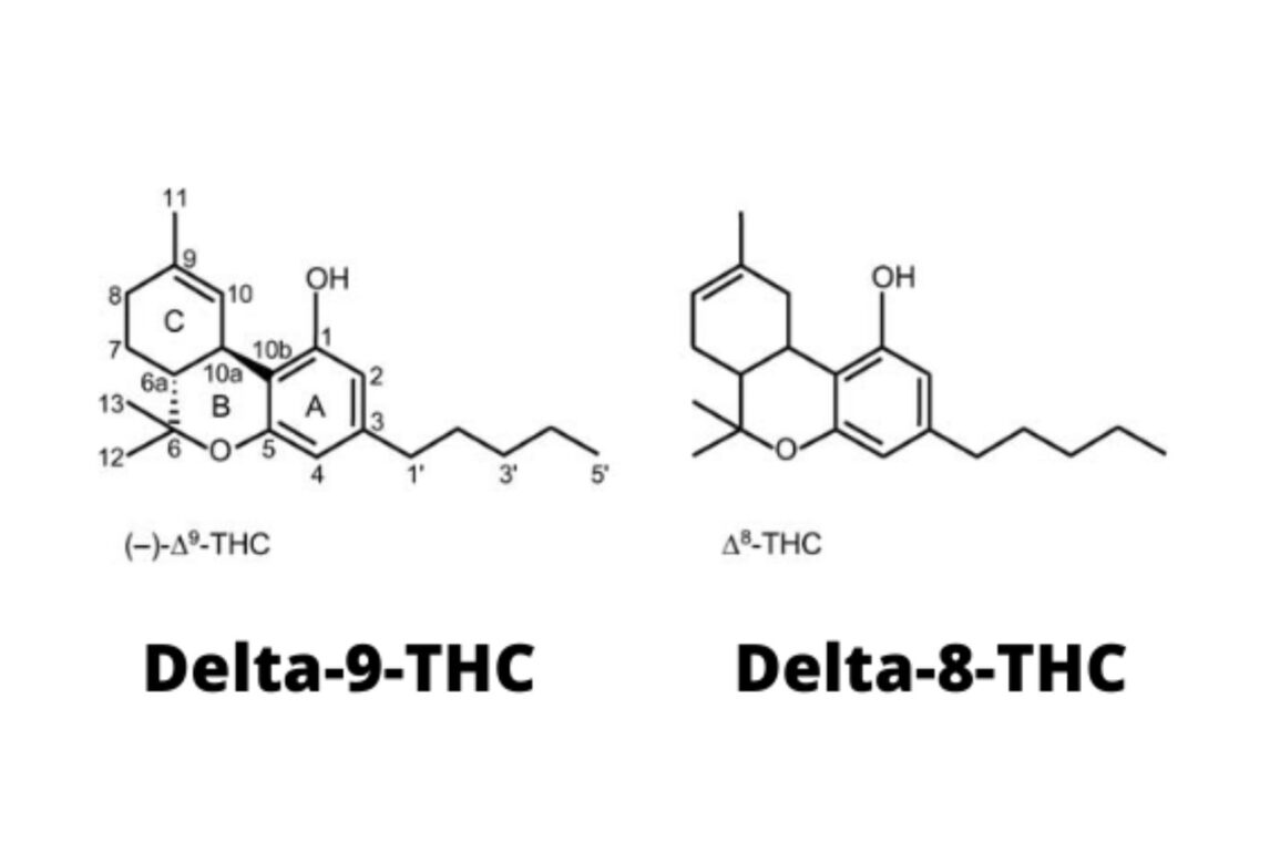 What-Is-The-Difference Between Delta-8 THC and Delta-9 THC