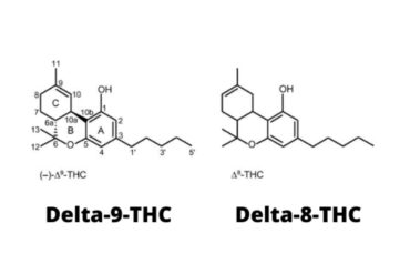 What-Is-The-Difference Between Delta-8 THC and Delta-9 THC