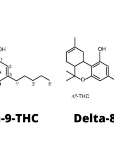 What-Is-The-Difference Between Delta-8 THC and Delta-9 THC