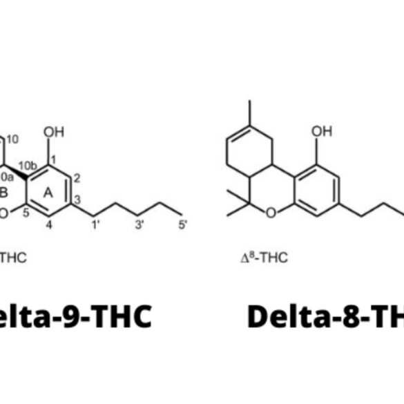 What-Is-The-Difference Between Delta-8 THC and Delta-9 THC