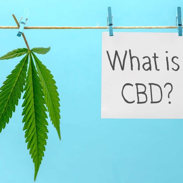 What is CBD and How Does It Work?