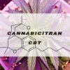 What is CBT (Cannabicitran)
