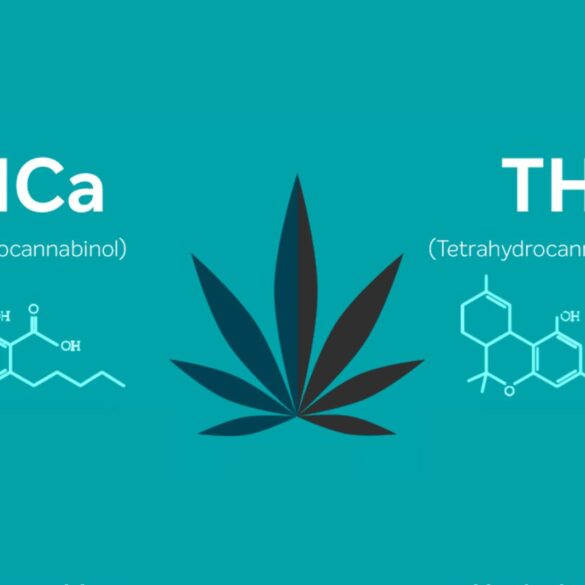 THCA and THC: What's the Difference