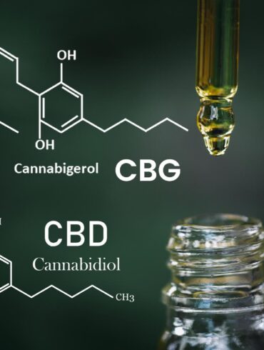 What Is CBG Vs. CBD