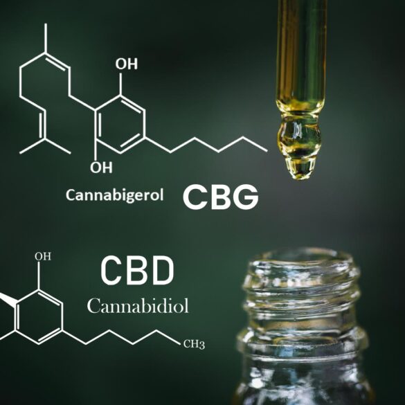 What Is CBG Vs. CBD