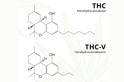 thc-vs-thcv