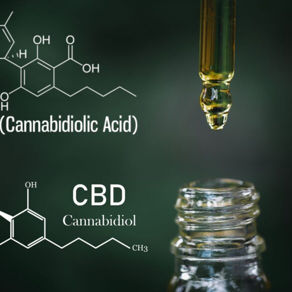 what is the difference between cbd and cbda