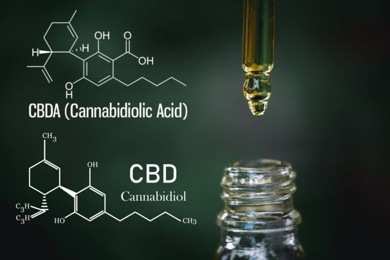 what is the difference between cbd and cbda