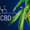 CBD Oil