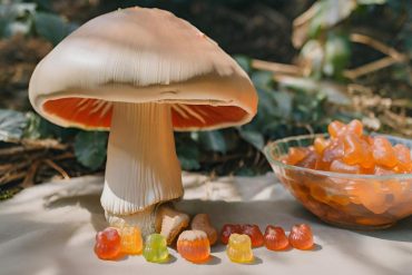 What Are Mushroom Gummies