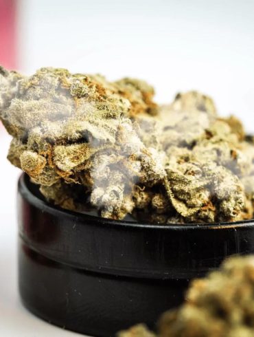 How to Tell If Weed Is Moldy