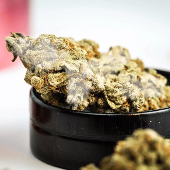 How to Tell If Weed Is Moldy